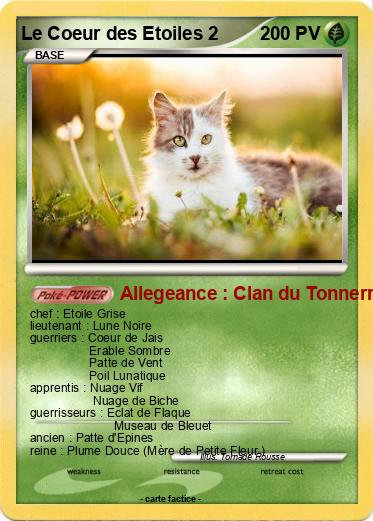 Pokemon Le Coeur des Etoiles 2