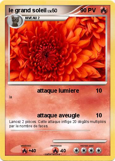 Pokemon le grand soleil