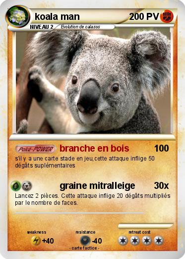 Pokemon koala man
