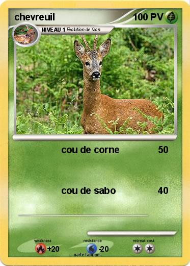 Pokemon chevreuil