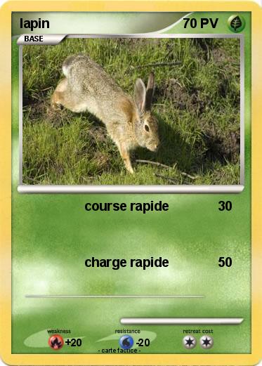 Pokemon lapin