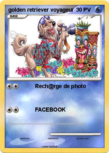 Pokemon golden retriever voyageur