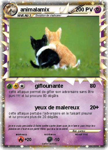 Pokemon animalamix
