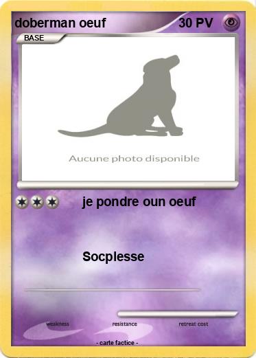 Pokemon doberman oeuf