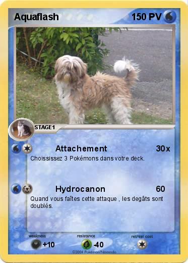 Pokemon Aquaflash