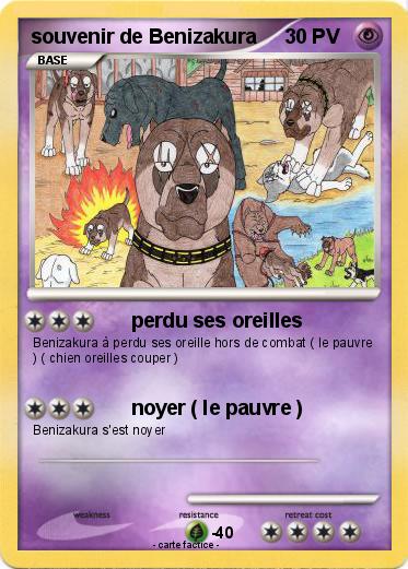 Pokemon souvenir de Benizakura