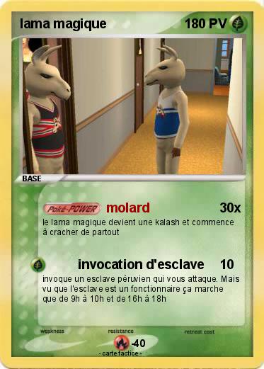 Pokemon lama magique