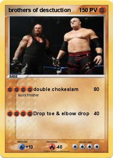 Pokemon brothers of desctuction