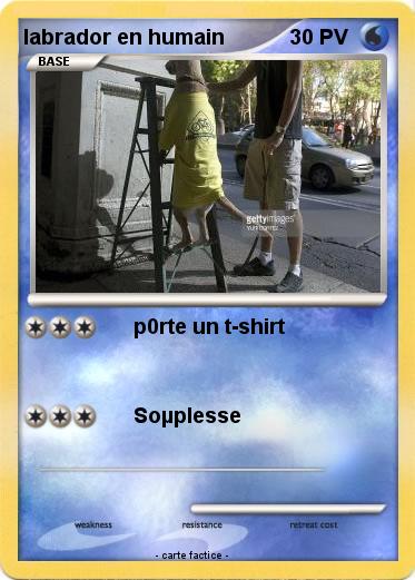 Pokemon labrador en humain