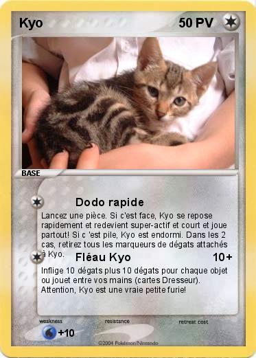 Pokemon Kyo