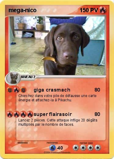 Pokemon mega-nico