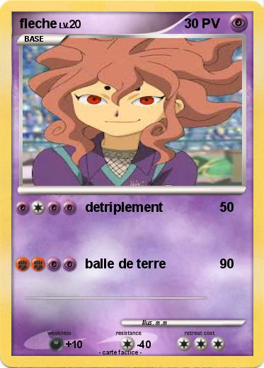 Pokemon fleche