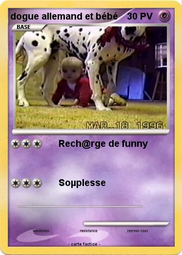 Pokemon dogue allemand et bébé