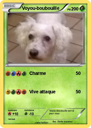 Pokemon Voyou-boubouille