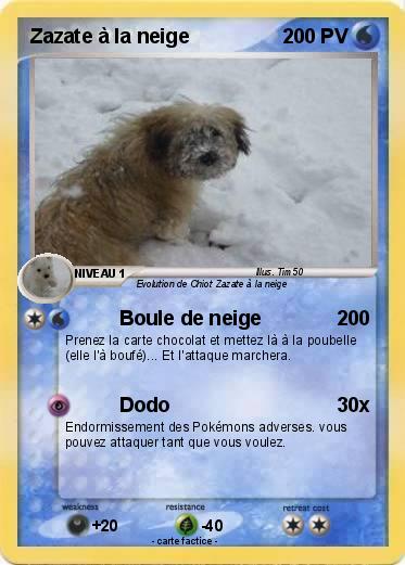Pokemon Zazate à la neige