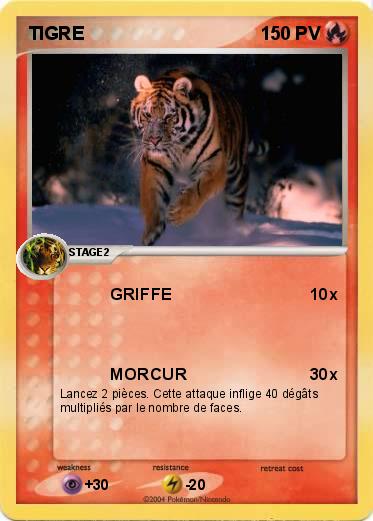 Pokemon TIGRE