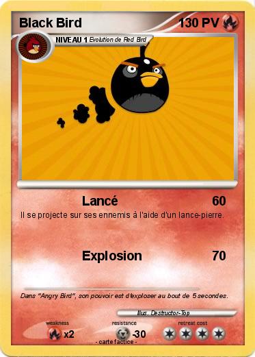 Pokemon Black Bird