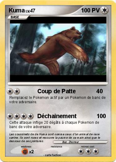 Pokemon Kuma