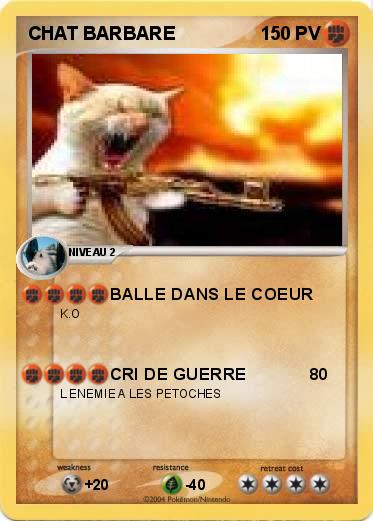 Pokemon CHAT BARBARE
