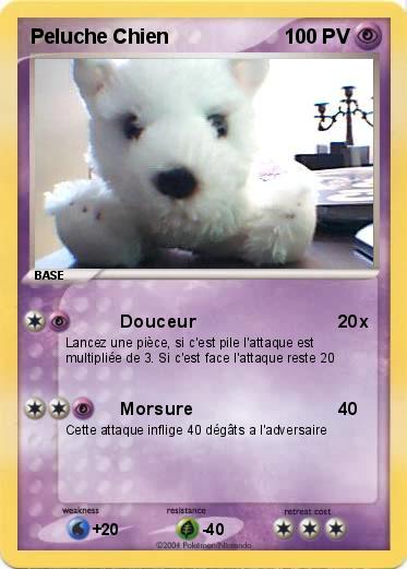 Pokemon Peluche Chien