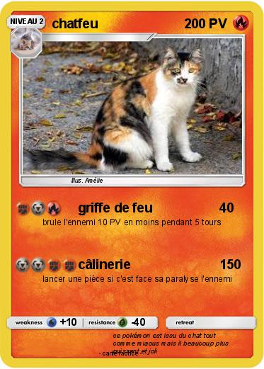 Pokemon chatfeu