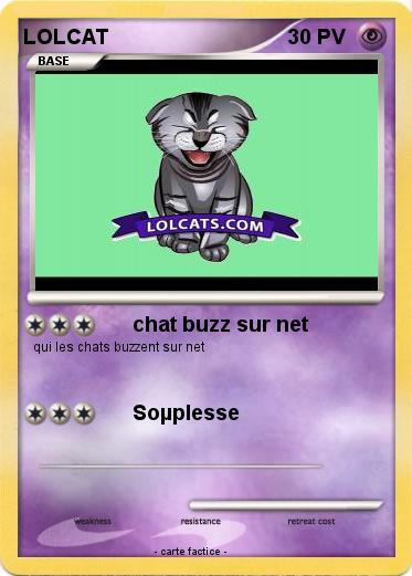 Pokemon LOLCAT