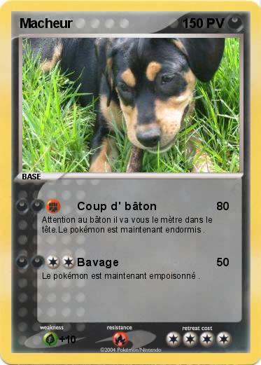 Pokemon Macheur