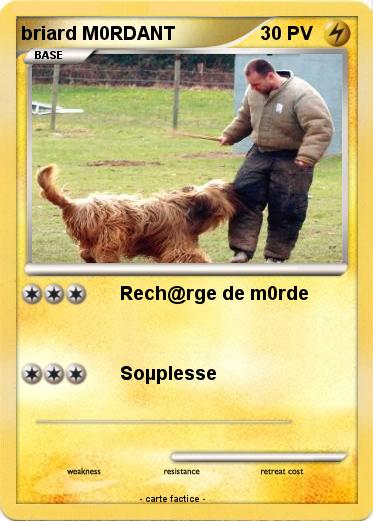 Pokemon briard M0RDANT