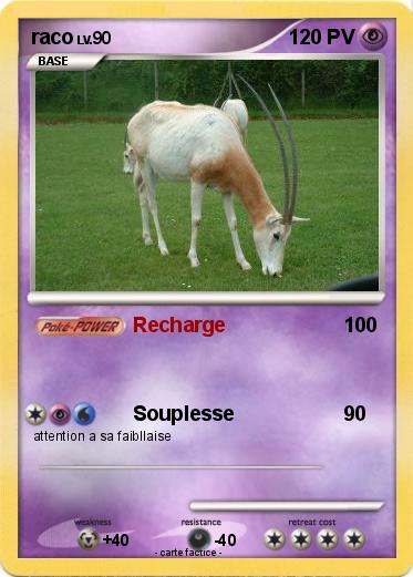 Pokemon raco