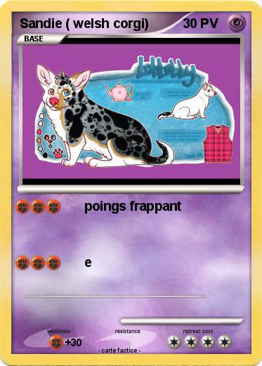 Pokemon Sandie ( welsh corgi)