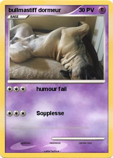 Pokemon bullmastiff dormeur