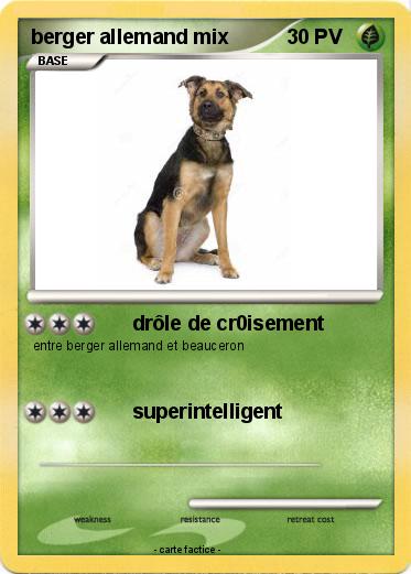 Pokemon berger allemand mix