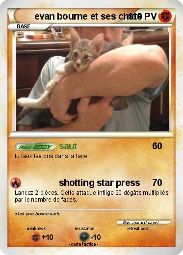 Pokemon evan bourne et ses chats