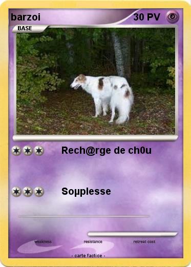 Pokemon barzoi