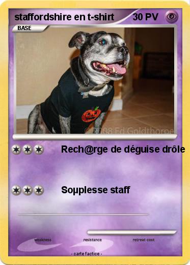 Pokemon staffordshire en t-shirt