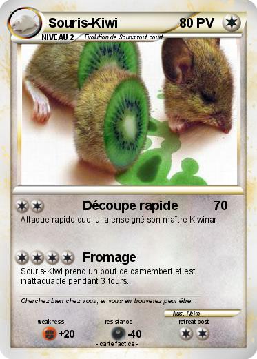 Pokemon Souris-Kiwi