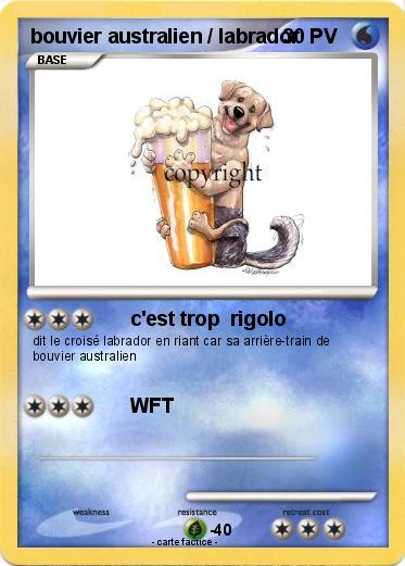 Pokemon bouvier australien / labrador