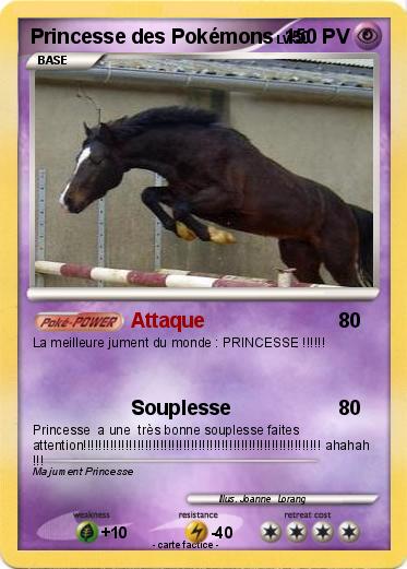 Pokemon Princesse des Pokémons