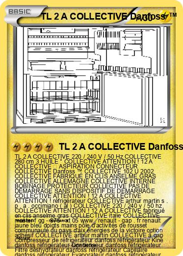 Pokemon TL 2 A COLLECTIVE Danfoss ™