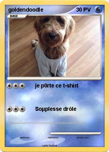 Pokemon goldendoodle