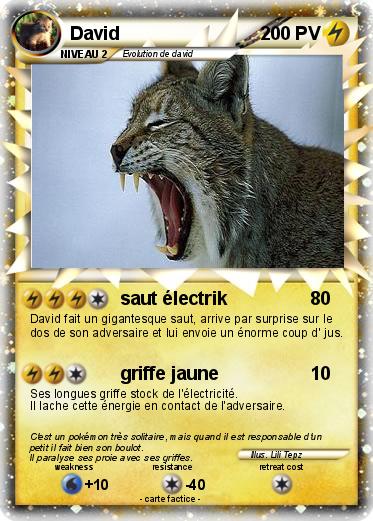 Pokemon David