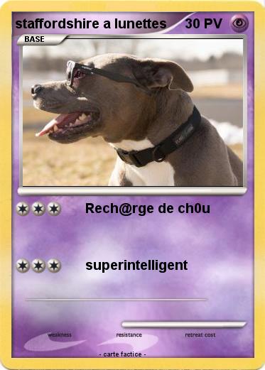 Pokemon staffordshire a lunettes