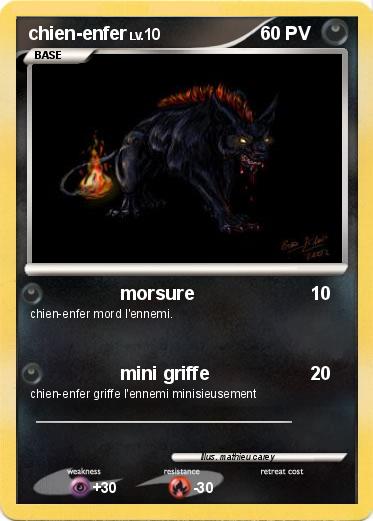Pokemon chien-enfer