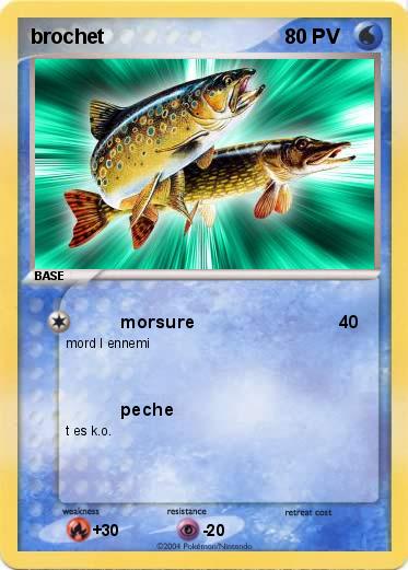 Pokemon brochet