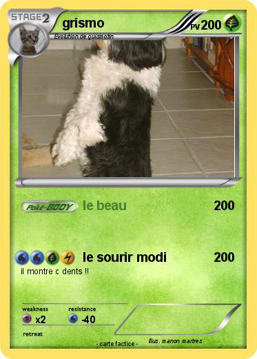Pokemon grismo