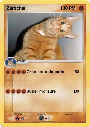 Pokemon Zarbchat                            1