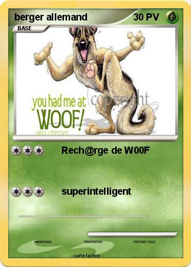 Pokemon berger allemand