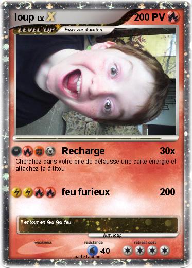 Pokemon loup