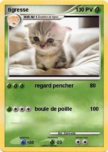 Pokemon tigresse