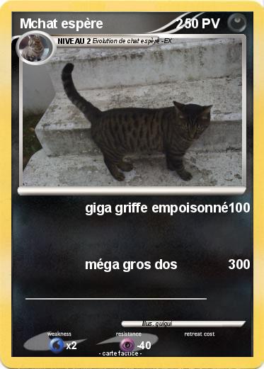 Pokemon Mchat espère                    2